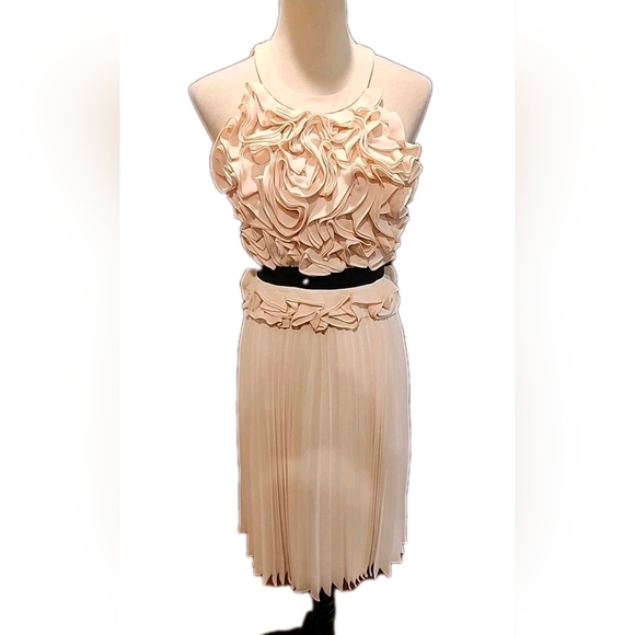 BCBGMaxAzria Cream Midi Skirt - Picture 3 of 9